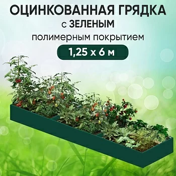 Грядка зеленая (1,25 х 6)